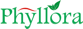 Phyllora